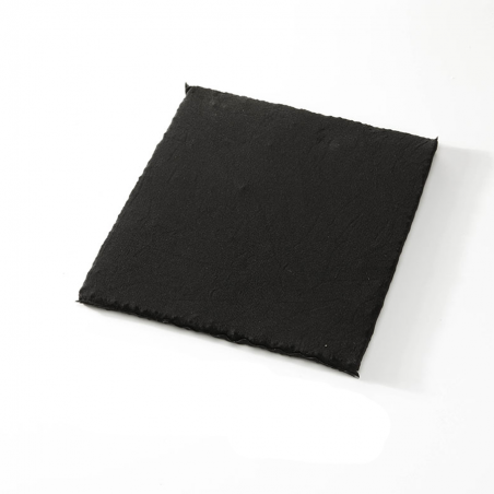 CFC0100244  Long Life Charcoal filter