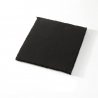 CFC0100244  Long Life Charcoal filter