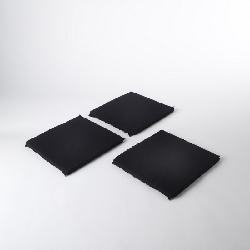 CFC0141772 Revolution Charcoal filter