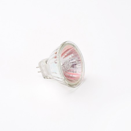 2006DS  Halogen Lamp