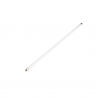 LMP0013925 Lamp Neon
