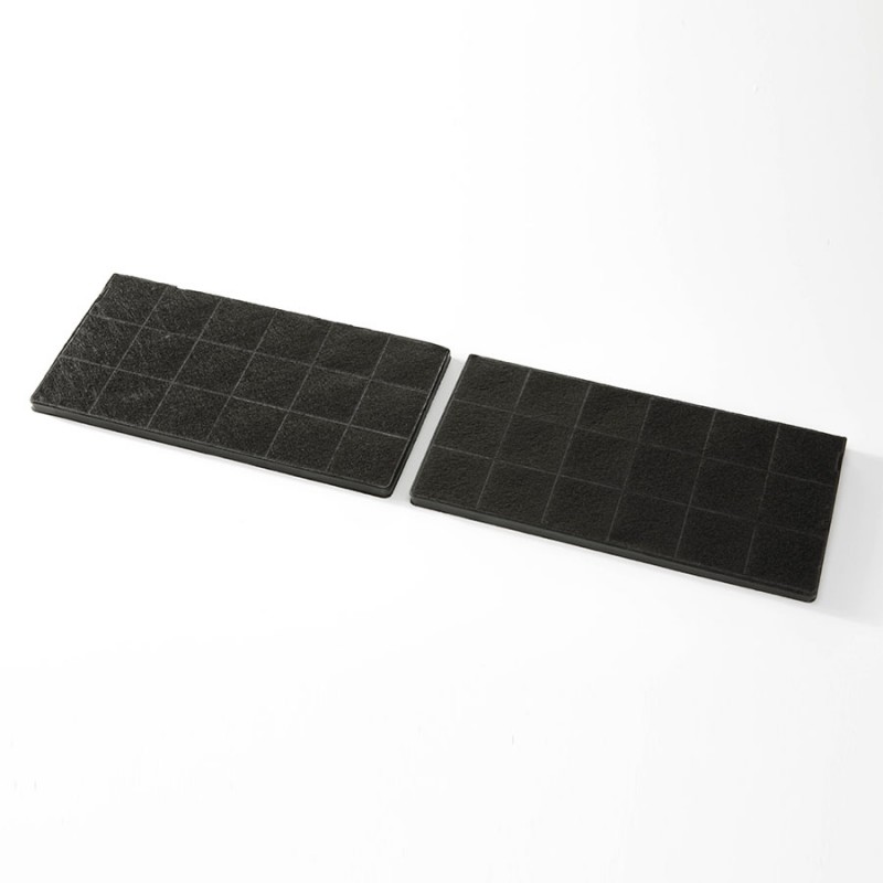 FCB0060650 Disposable Charcoal filter (Pair)